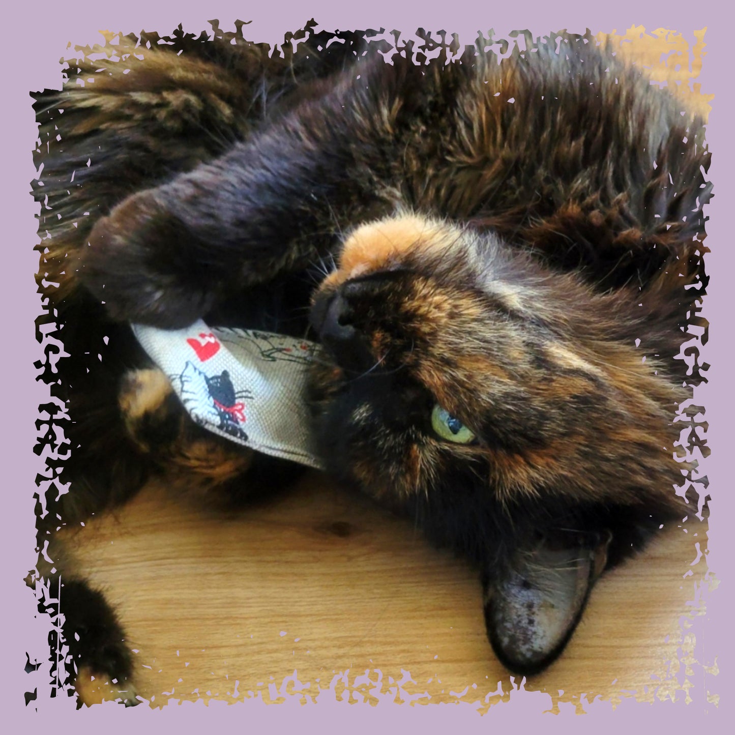 Vally - Jouet pour chat