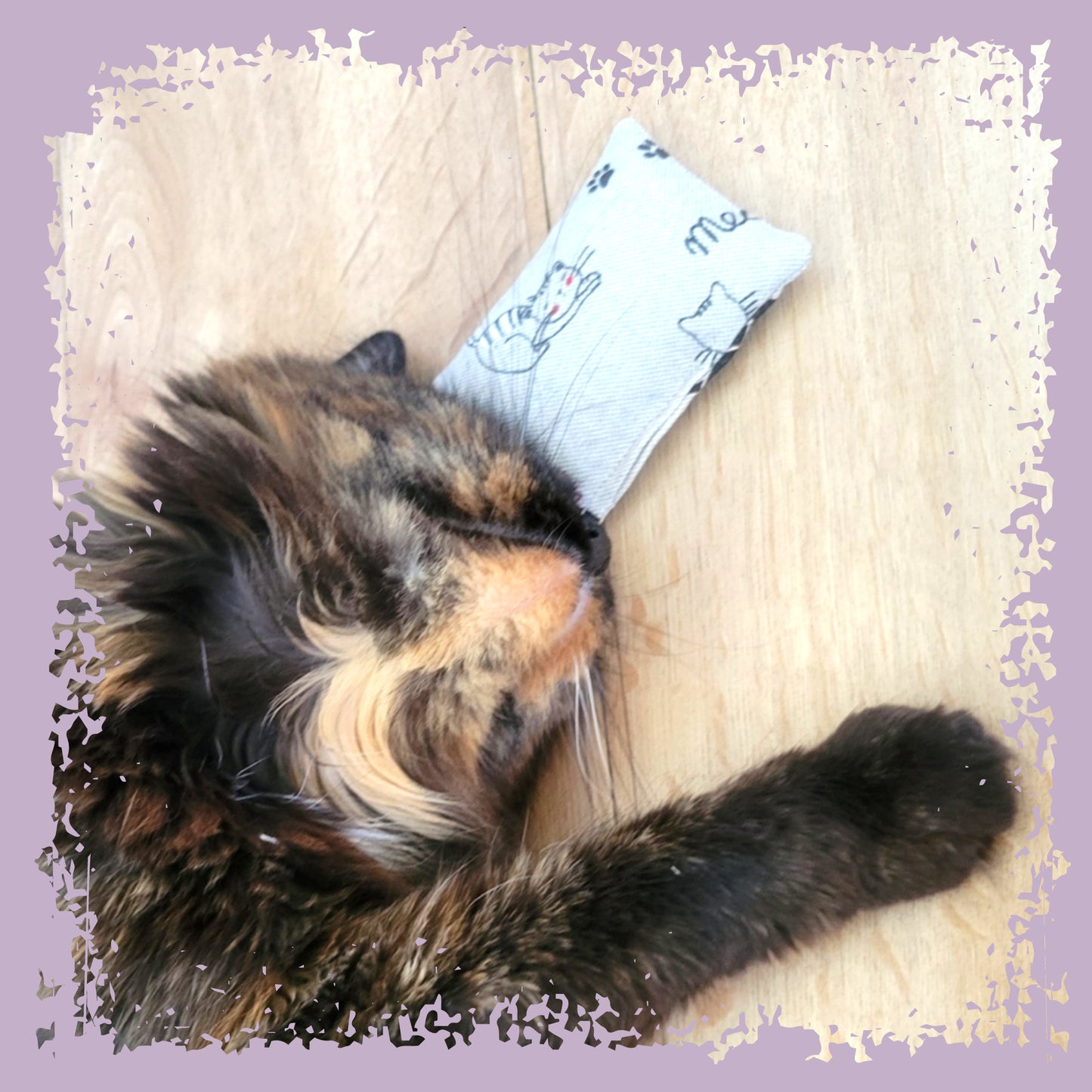 Vally - Jouet pour chat